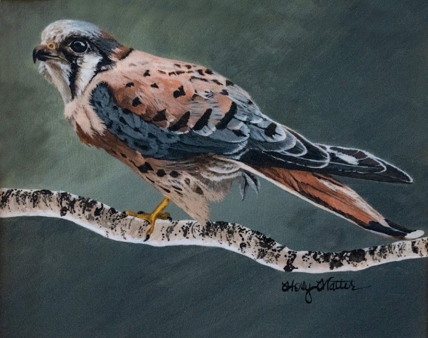 Kestrel