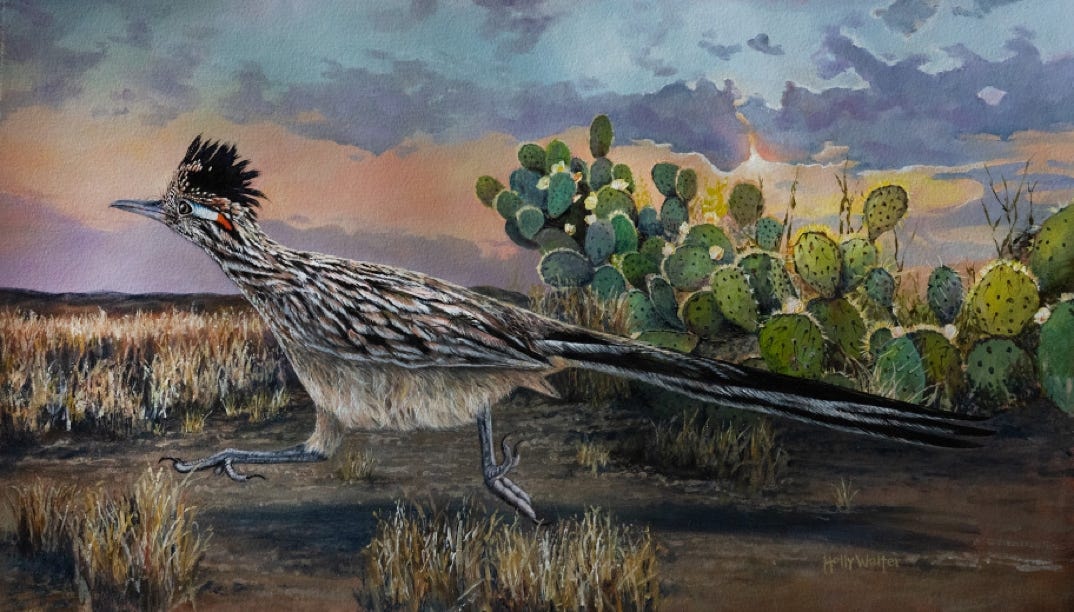 Road Runner